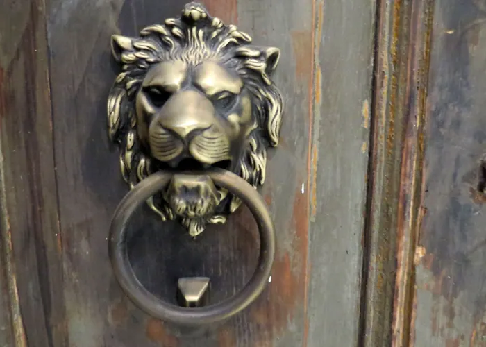 Istanberry - Berry Life