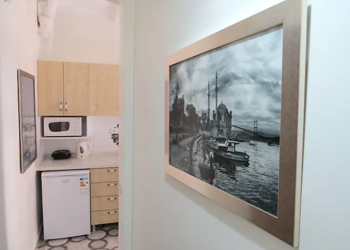 Istanberry - Berry Life מלון דירות