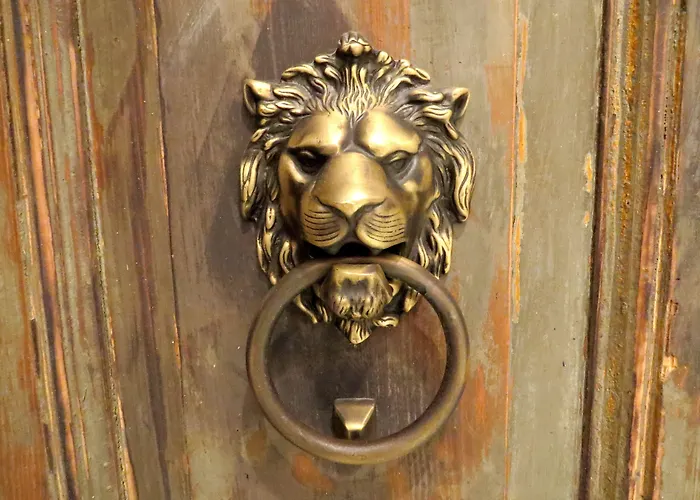 Istanberry - Berry Life איסטמבול