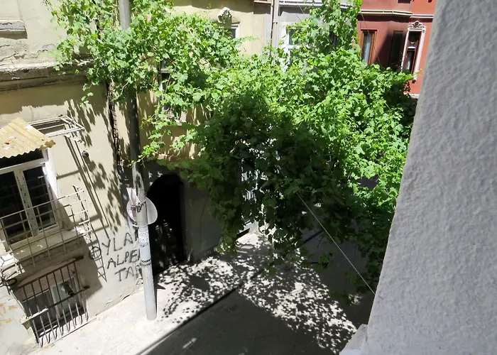 Istanberry - Berry Life איסטמבול